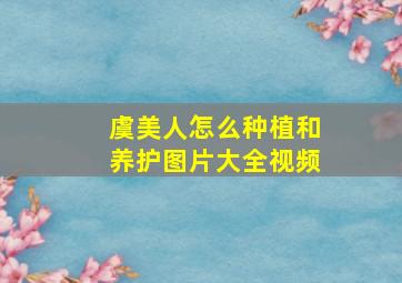 虞美人怎么种植和养护图片大全视频