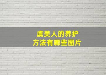 虞美人的养护方法有哪些图片