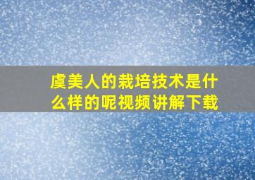 虞美人的栽培技术是什么样的呢视频讲解下载