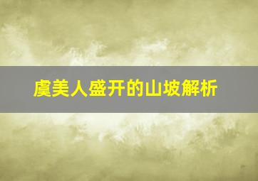 虞美人盛开的山坡解析