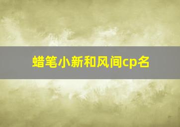 蜡笔小新和风间cp名