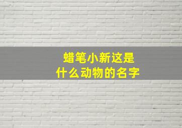 蜡笔小新这是什么动物的名字