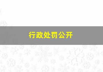 行政处罚公开