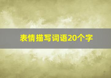 表情描写词语20个字