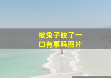 被兔子咬了一口有事吗图片