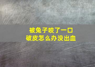 被兔子咬了一口破皮怎么办没出血