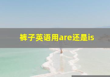 裤子英语用are还是is