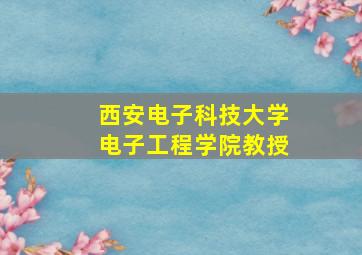 西安电子科技大学电子工程学院教授