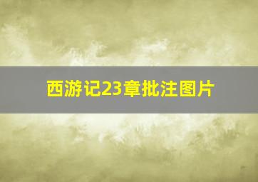 西游记23章批注图片