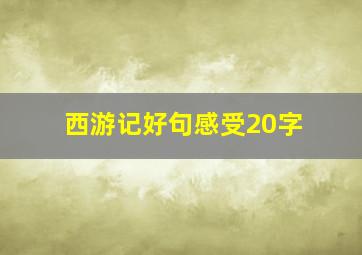 西游记好句感受20字