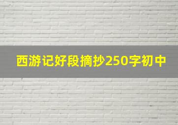 西游记好段摘抄250字初中