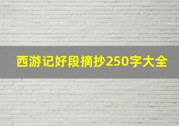 西游记好段摘抄250字大全