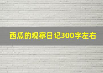 西瓜的观察日记300字左右