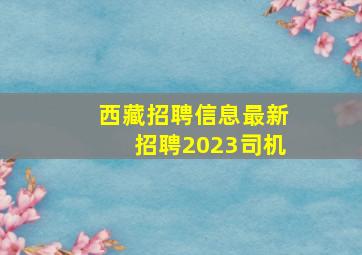 西藏招聘信息最新招聘2023司机