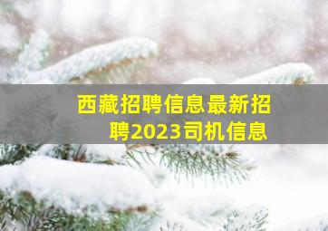 西藏招聘信息最新招聘2023司机信息