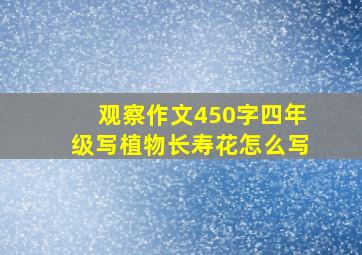 观察作文450字四年级写植物长寿花怎么写