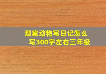 观察动物写日记怎么写300字左右三年级