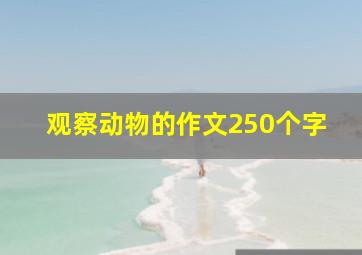 观察动物的作文250个字