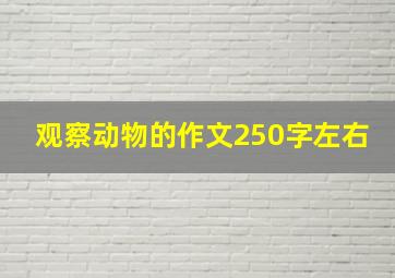 观察动物的作文250字左右