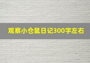 观察小仓鼠日记300字左右