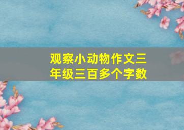 观察小动物作文三年级三百多个字数