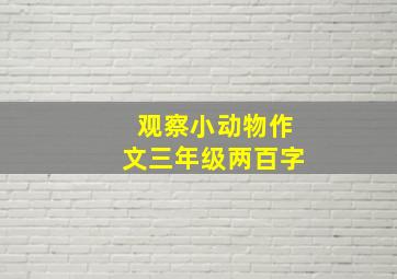 观察小动物作文三年级两百字