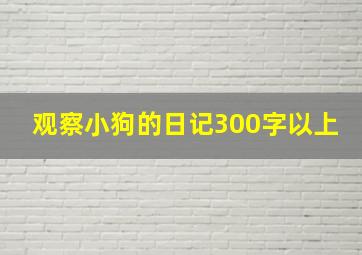 观察小狗的日记300字以上