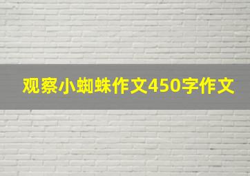 观察小蜘蛛作文450字作文