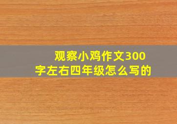 观察小鸡作文300字左右四年级怎么写的