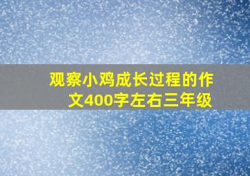 观察小鸡成长过程的作文400字左右三年级