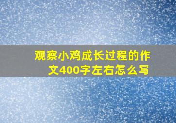 观察小鸡成长过程的作文400字左右怎么写