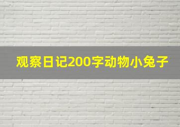 观察日记200字动物小兔子