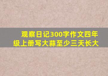 观察日记300字作文四年级上册写大蒜至少三天长大