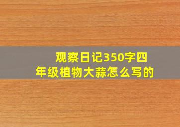 观察日记350字四年级植物大蒜怎么写的