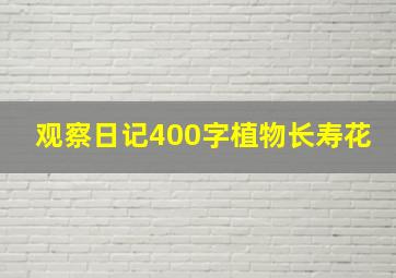 观察日记400字植物长寿花