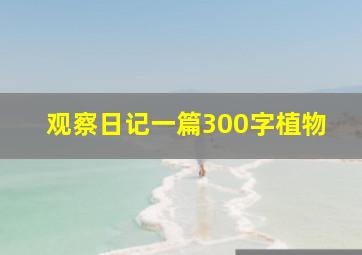 观察日记一篇300字植物