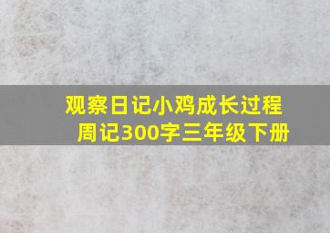 观察日记小鸡成长过程周记300字三年级下册