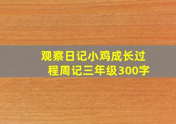 观察日记小鸡成长过程周记三年级300字