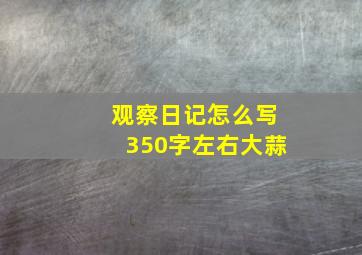 观察日记怎么写350字左右大蒜