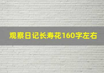 观察日记长寿花160字左右