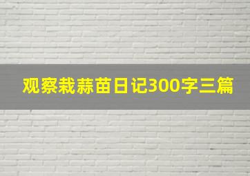 观察栽蒜苗日记300字三篇