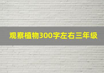 观察植物300字左右三年级