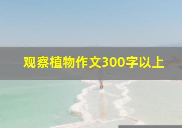 观察植物作文300字以上