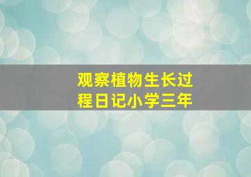 观察植物生长过程日记小学三年