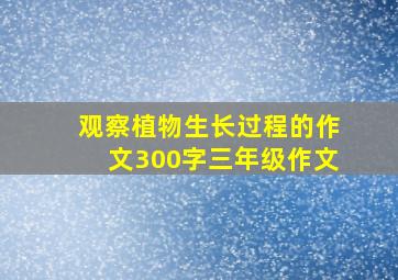 观察植物生长过程的作文300字三年级作文