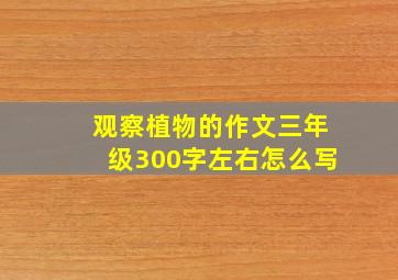 观察植物的作文三年级300字左右怎么写