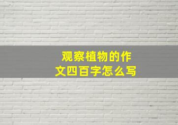 观察植物的作文四百字怎么写