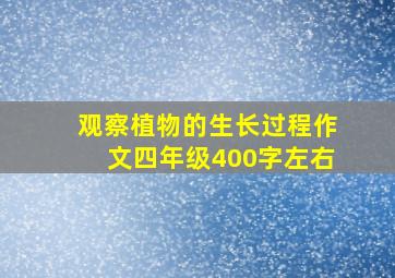 观察植物的生长过程作文四年级400字左右