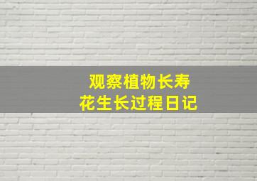 观察植物长寿花生长过程日记