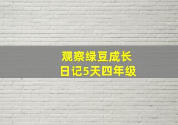 观察绿豆成长日记5天四年级